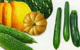 网红资源吃瓜群,幕后真相与娱乐八卦大揭秘