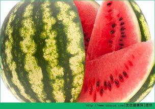 每日吃瓜官网,揭秘娱乐圈最新热点，带你畅游八卦海洋